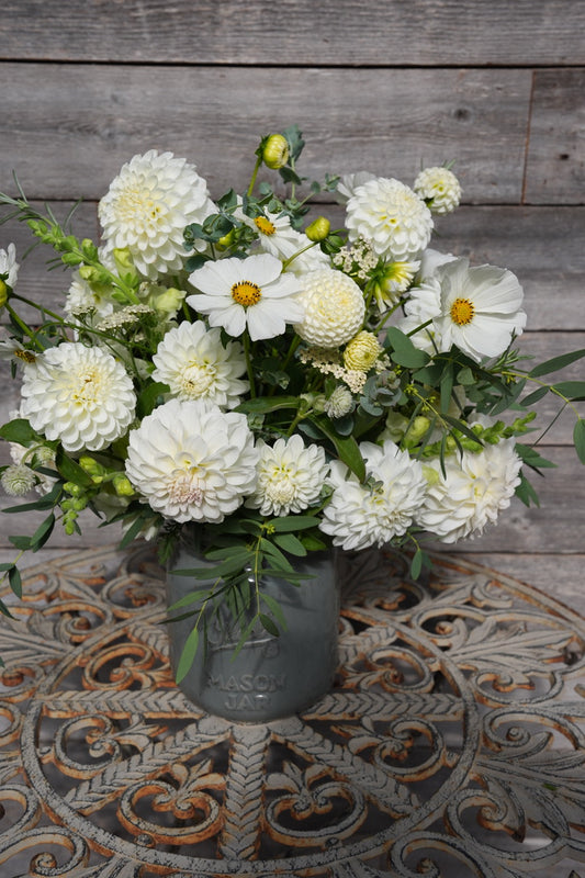 2026- White Wedding Collection