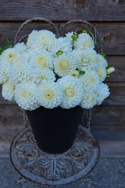 20th Ave & Baker Road