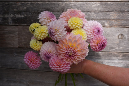 2026- Leigh's Wedding Collection