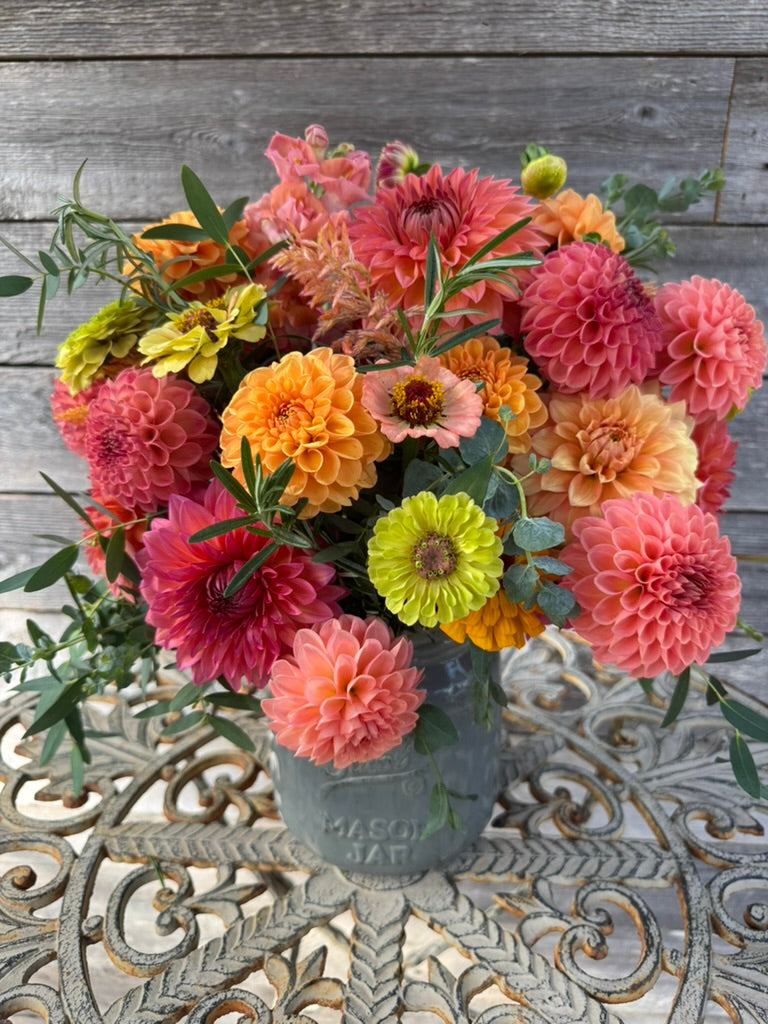 2026- Summer Fun Collection - LIMIT 1 PER PERSON