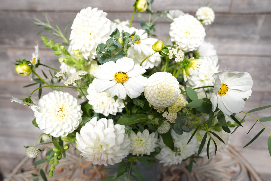 2026 - White Wedding Collection