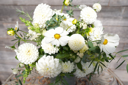 2026 - White Wedding Collection