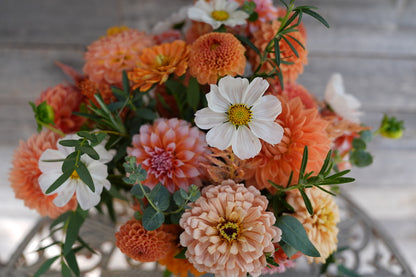 2026 - Peach Perfection Collection